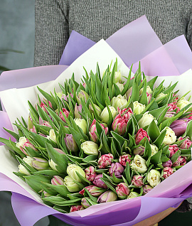Букет цветов DU TULIP PREMIUM